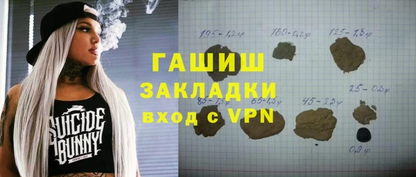 индика Арсеньев