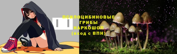 индика Арсеньев