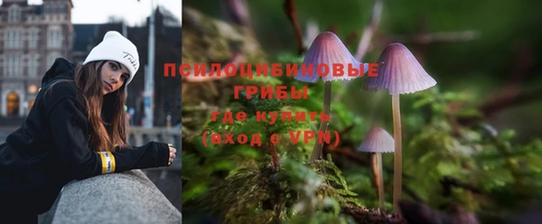 индика Арсеньев