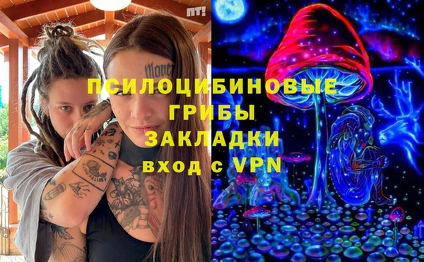 индика Арсеньев