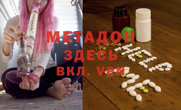 индика Арсеньев
