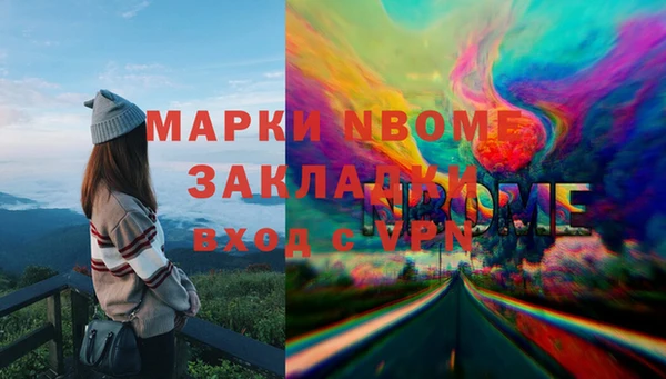индика Арсеньев