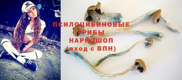 МДПВ Пересвет