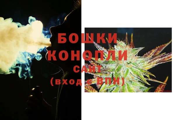 МДПВ Пересвет